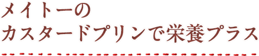 メイトーのカスタードプリンで栄養プラス