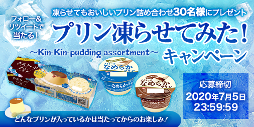 pudding-campaign.png