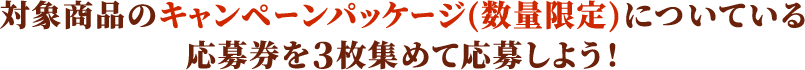 対象商品のキャンペーンパッケージ(数量限定)についている応募券を3枚集めて応募しよう！