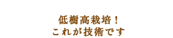 低樹高栽培!これが技術です