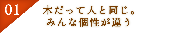 01：木だって人と同じ。みんな個性が違う