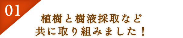 01：植樹と樹液採取など共に取り組みました！