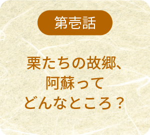 第壱話 阿蘇の栗ってどんな栗？