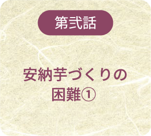 第弐話 安納芋づくりの困難①