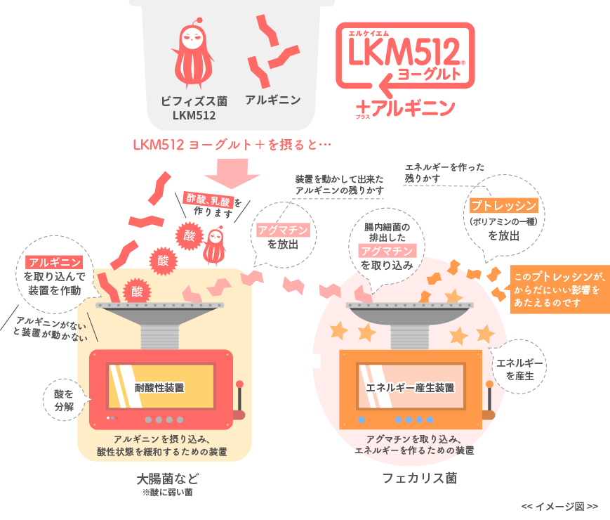 Lkm512ヨーグルト プラス メイトー 協同乳業株式会社