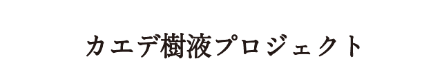 カエデ樹液プロジェクト