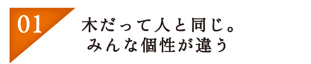 木だって人と同じ。みんな個性が違う