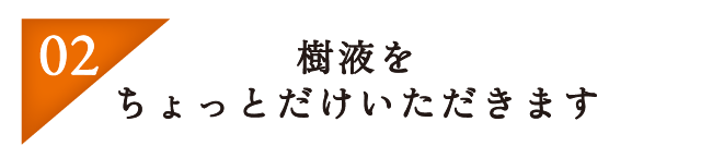 樹液をちょっとだけいただきます