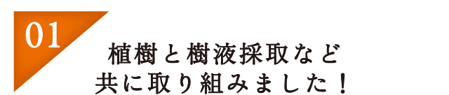 01：植樹と樹液採取など共に取り組みました！