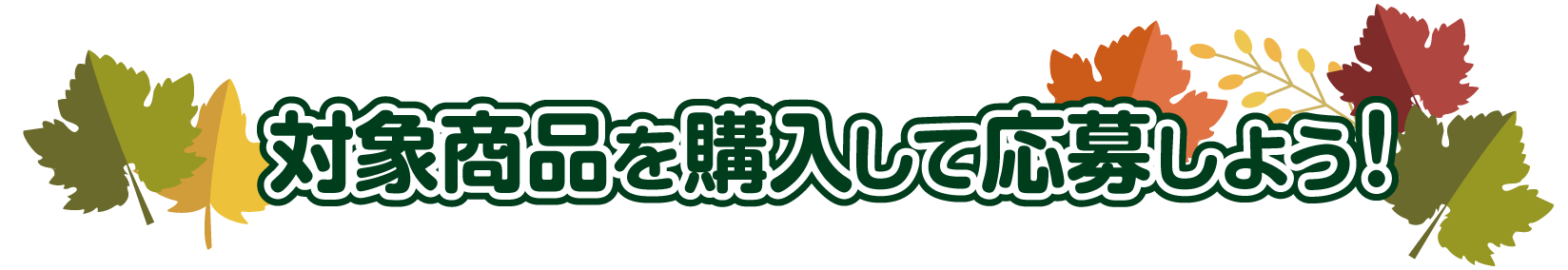 対象商品を購入して応募しよう！