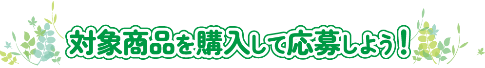 対象商品を購入して応募しよう！