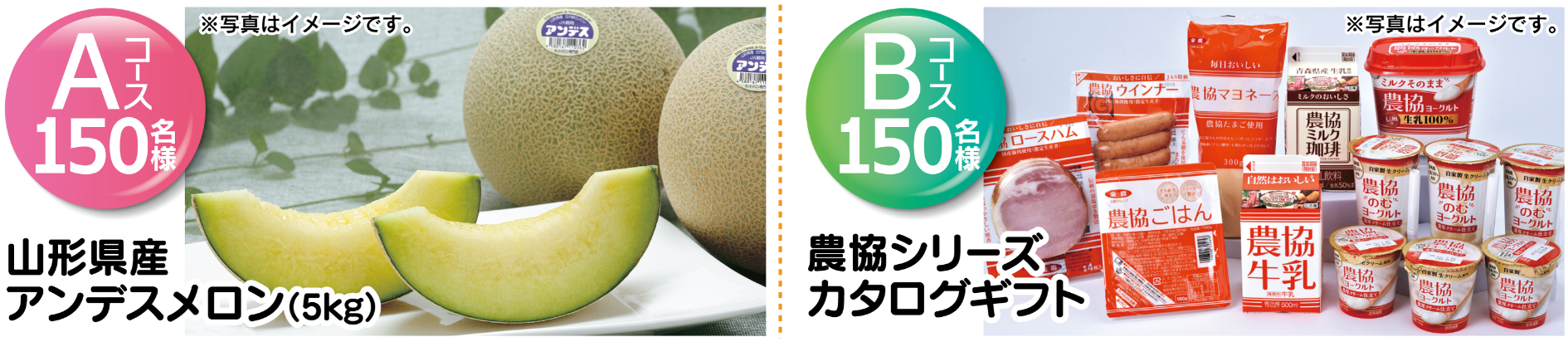 Aコース150名様 山形県産 アンデスメロン (5kg) ※写真はイメージです。　Bコース150名様 農協シリーズ カタログギフト ※写真はイメージです。