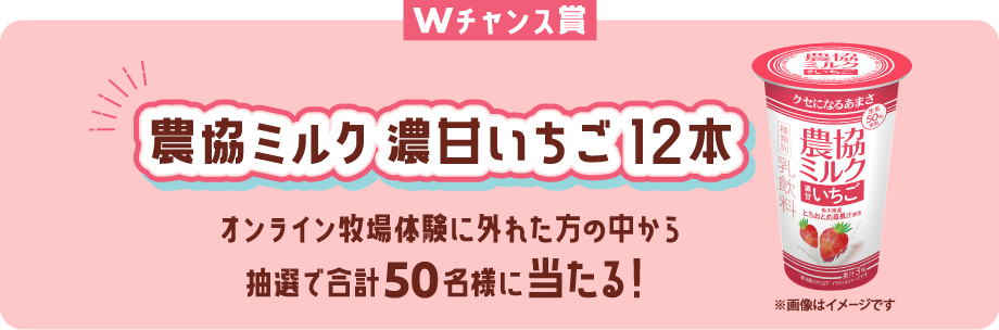 Wチャンス賞:JFグルメカード1,000円分