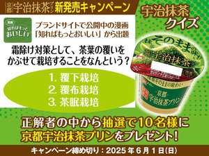 宇治抹茶クイズ.jpg