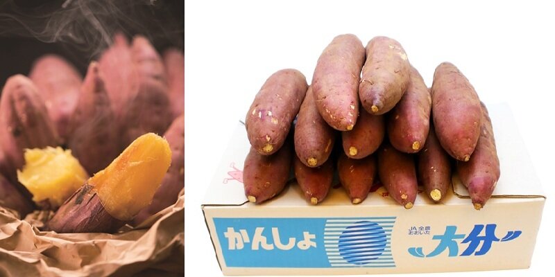 農協キャンペーン2.jpg