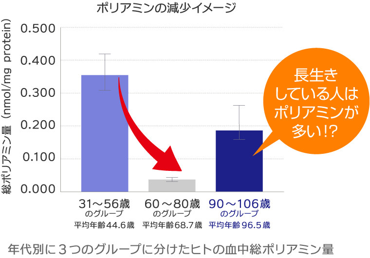 活力系ポリアミンヨーグルト Vitery ヴィテリー メイトー 協同乳業株式会社