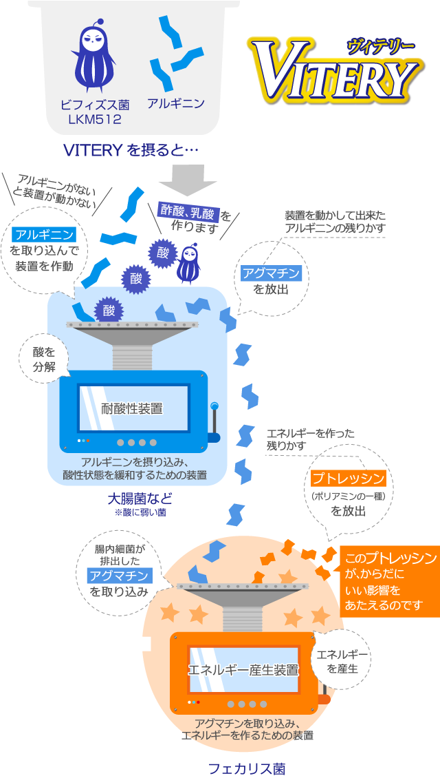 メカニズム